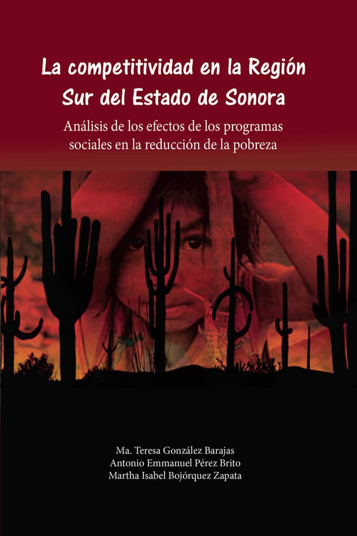 La competitividad en la región sur de Sonora.