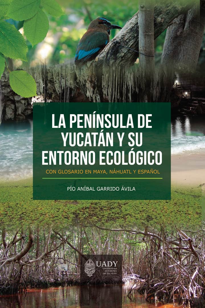 La península de Yucatán y su entorno ecológico