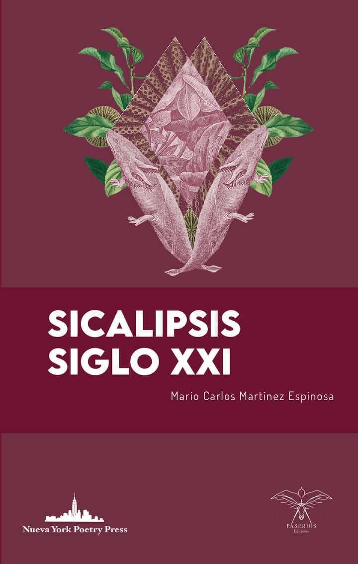 Sicalipsis siglo XXI
