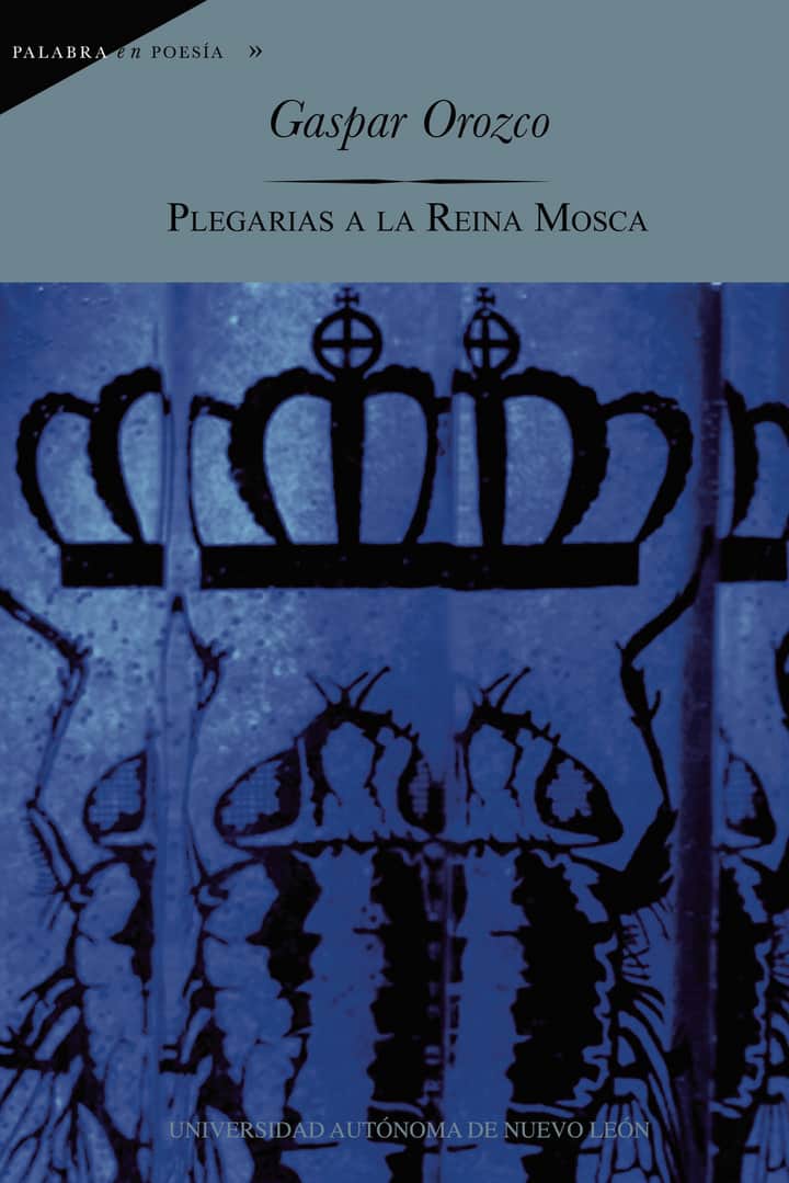 Plegarias a la Reina Mosca
