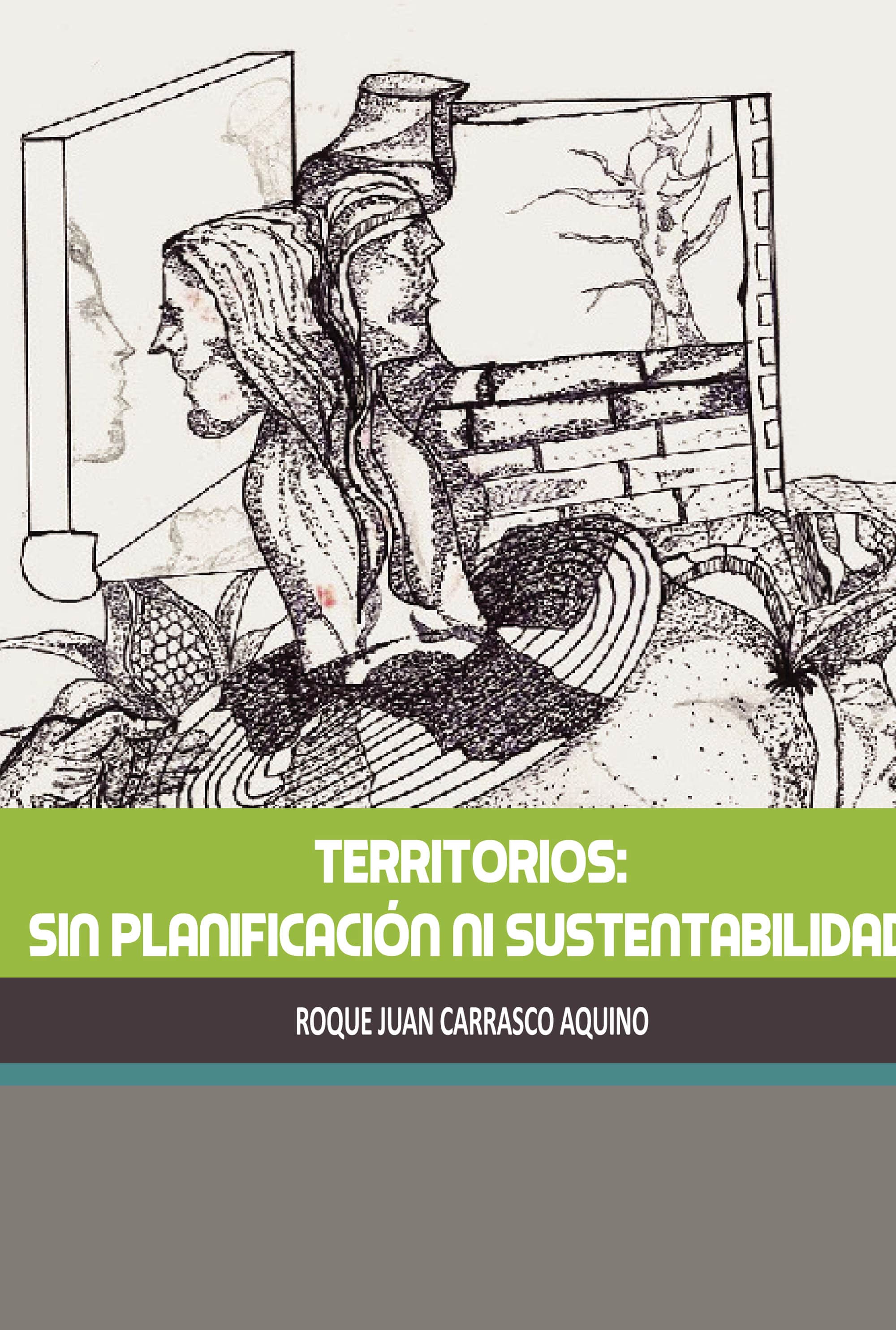 Territorios: sin planificación ni sustentabilidad