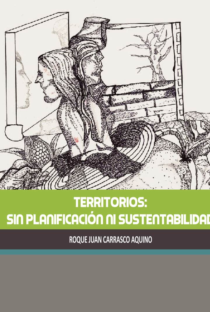 Territorios: sin planificación ni sustentabilidad