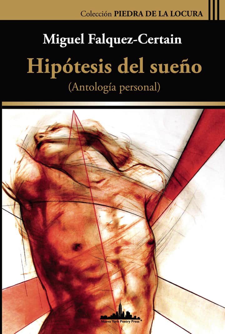 Hipótesis del sueño