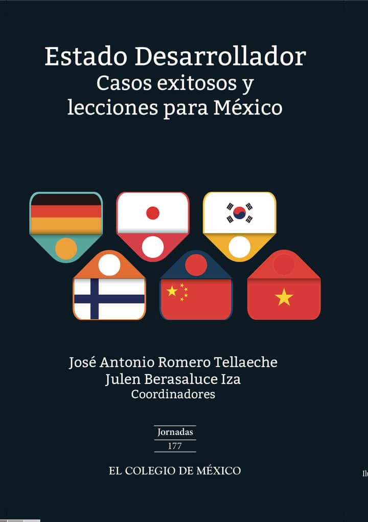 Estado desarrollador