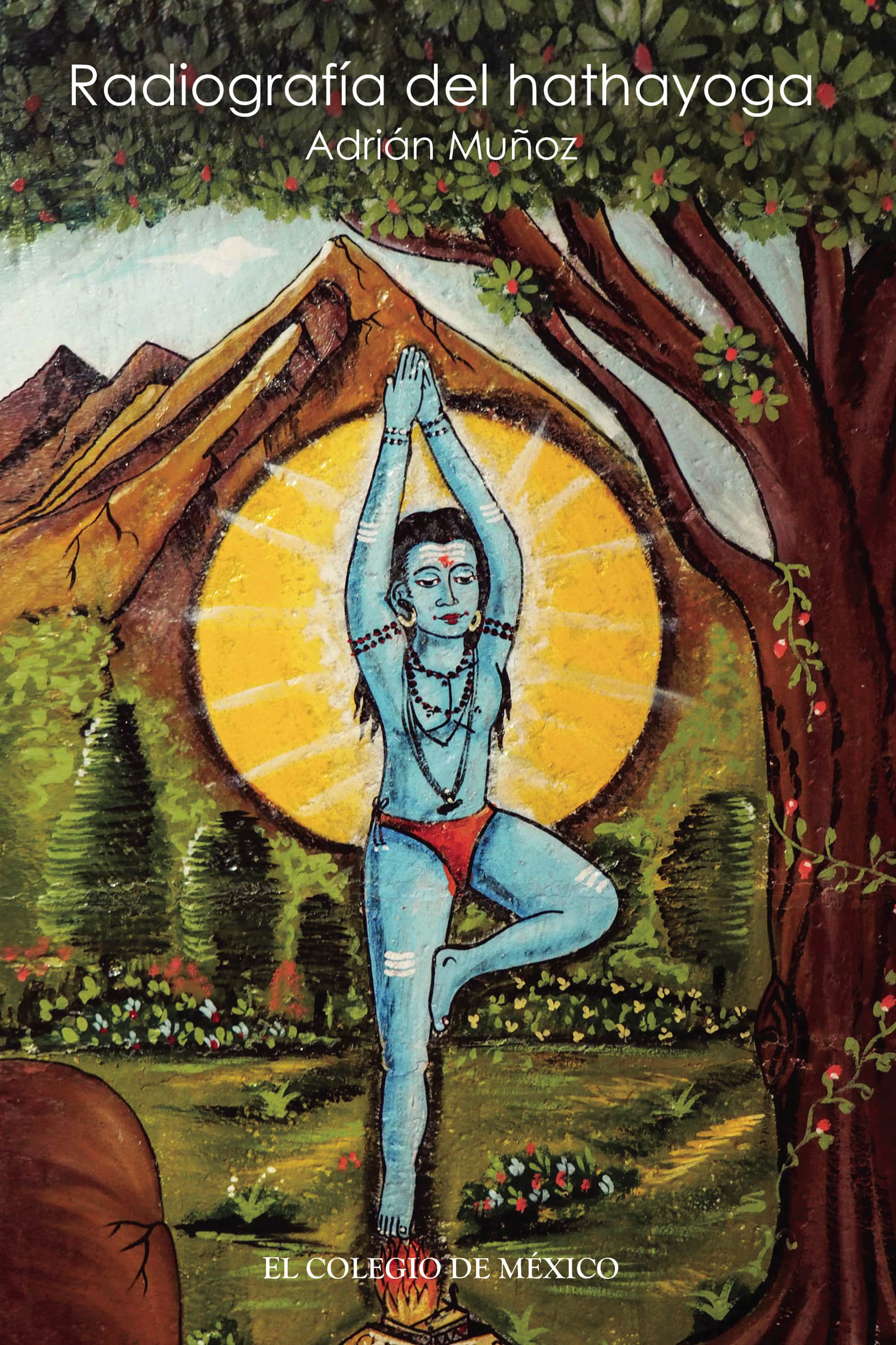 Radiografía del hathayoga