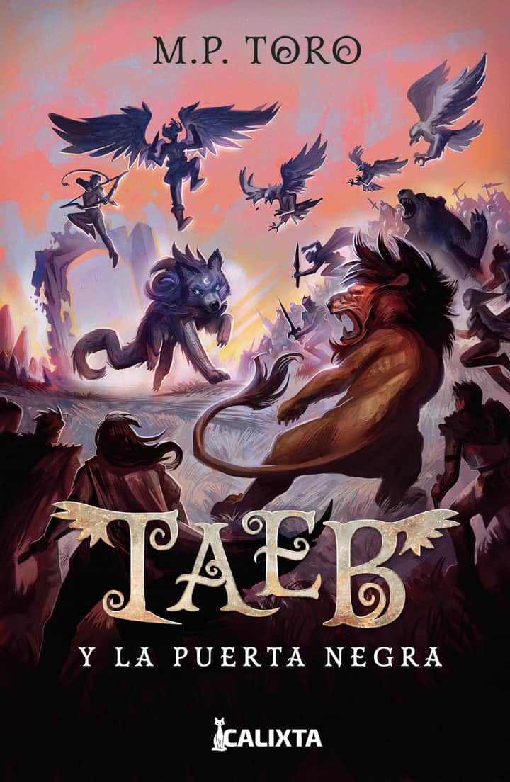 Taeb y la puerta negra