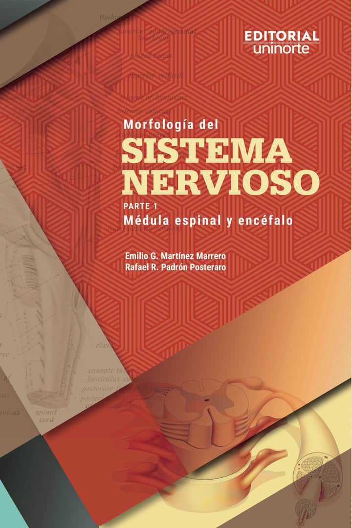 Morfología del sistema nervioso