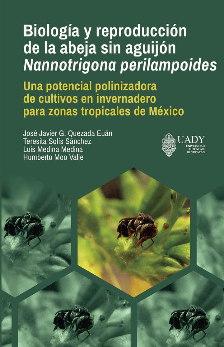 Biología y reproducción de la abeja sin aguijón Nannotrigona perilampoides.