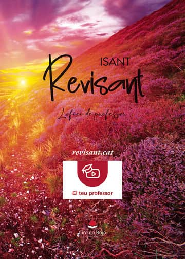 Revisant