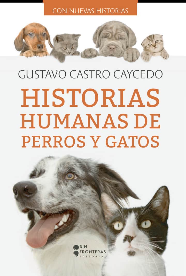 Historias humanas perros y gatos