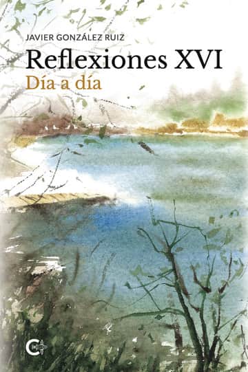 Reflexiones XVI