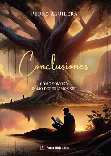 Conclusiones