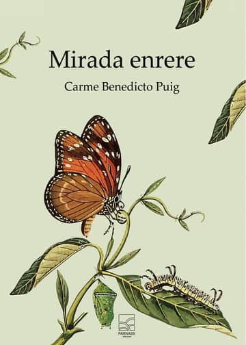 Mirada enrere