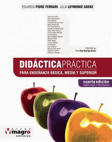 Didáctica práctica: Para enseñza básica, media y superior
