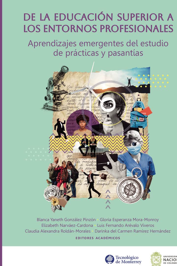 De la educación superior a los entornos profesionales