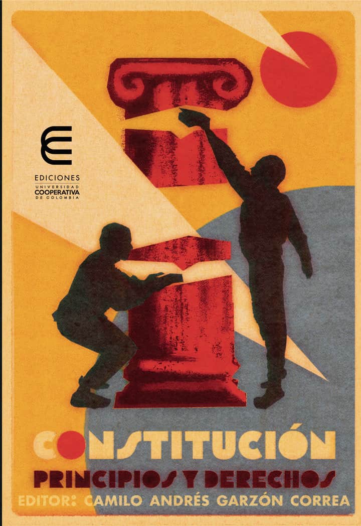 Constitución, principios y derechos