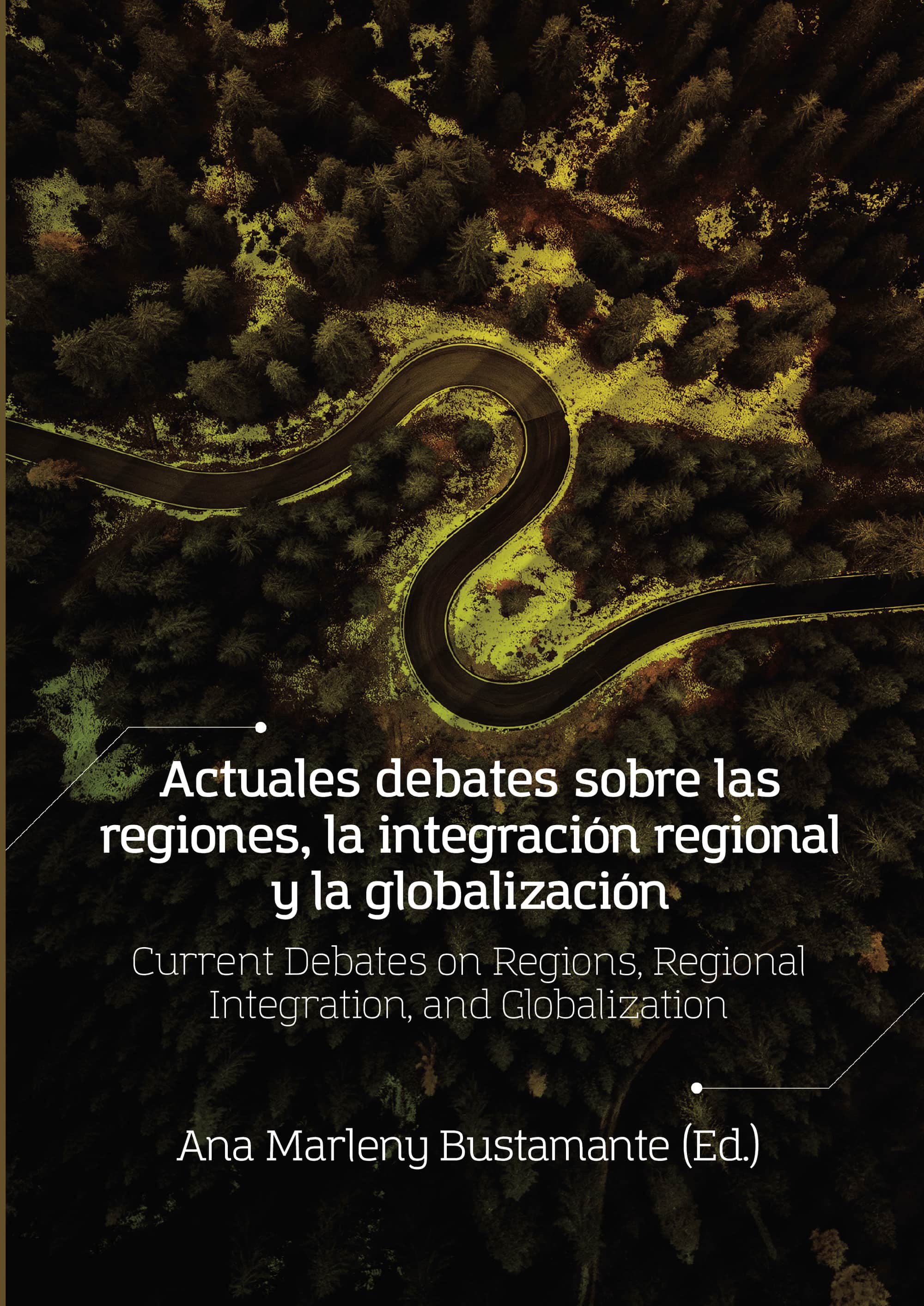Actuales debates sobre las regiones, la integración regional y la globalización