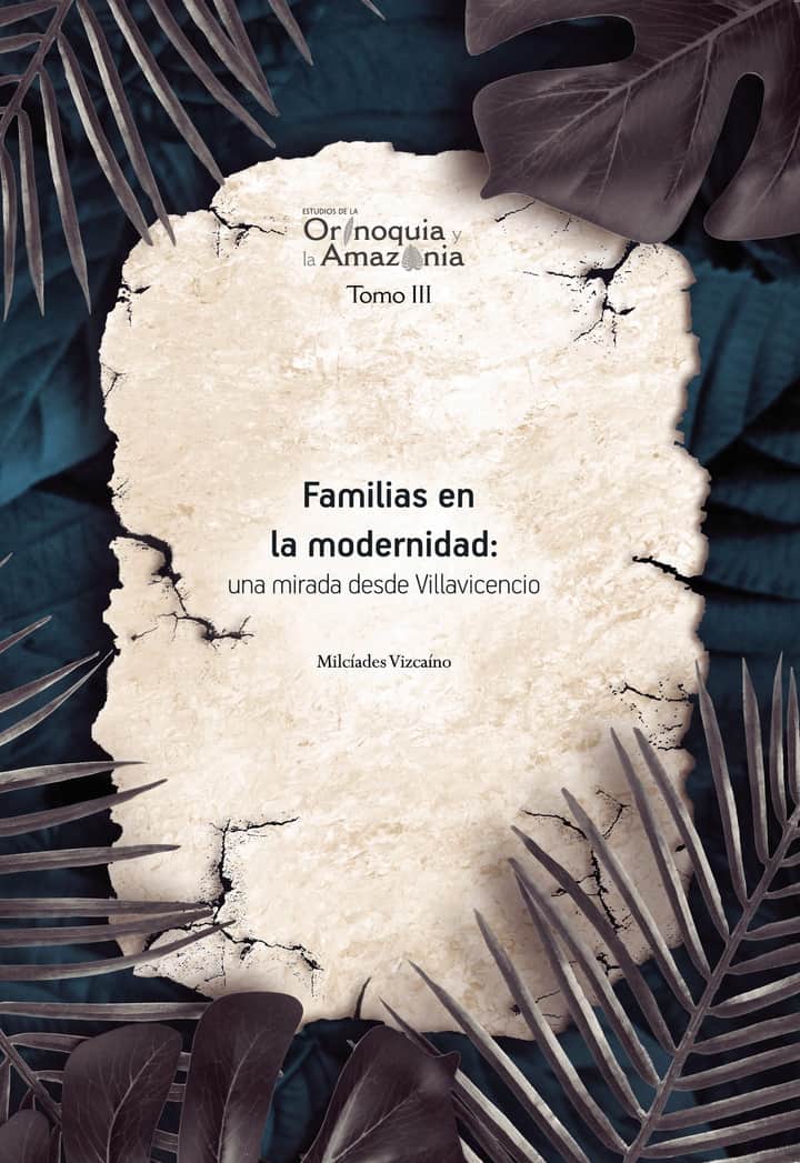 Familias en la modernidad: una mirada desde Villavicencio