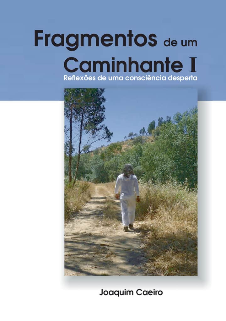 Fragmentos de um Caminhante I: Reflexões de uma consciência desperta