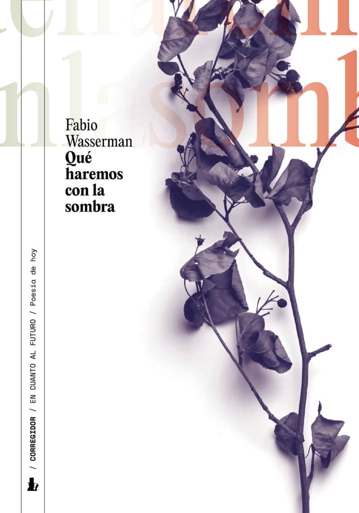 QUE HAREMOS CON LA SOMBRA