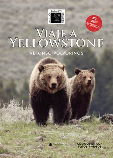 Viaje a Yellowstone