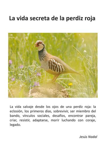 LA VIDA SECRETA DE LA PERDIZ ROJA