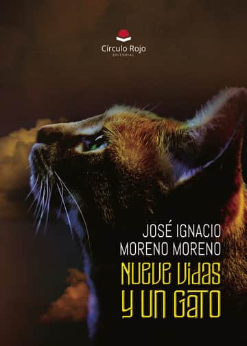 Nueve Vidas y Un Gato
