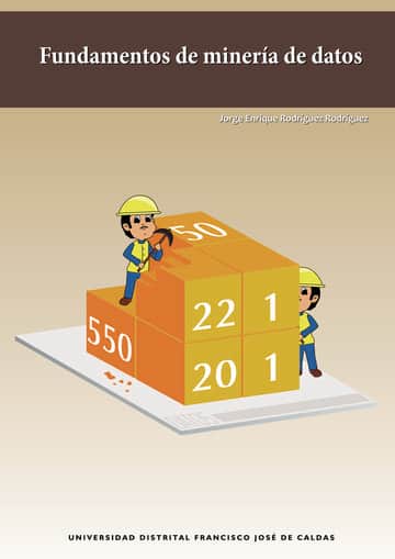 Fundamentos de minería de datos