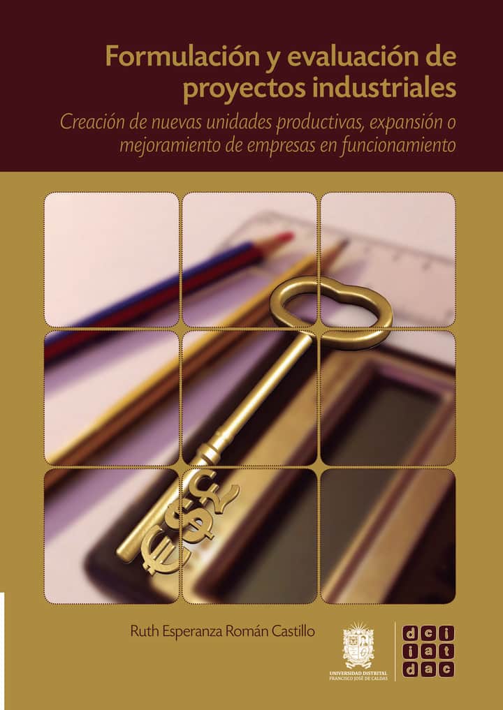 Formulación y evaluación de proyectos industriales: Creación de nuevas unidades productivas, expansión o mejoramiento de empresas en funcionamiento
