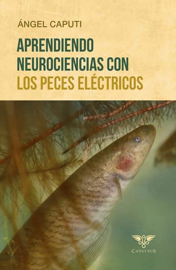Aprendiendo neurociencias con los peces eléctricos