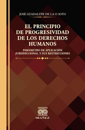 El principio de progresividad de los derechos humanos