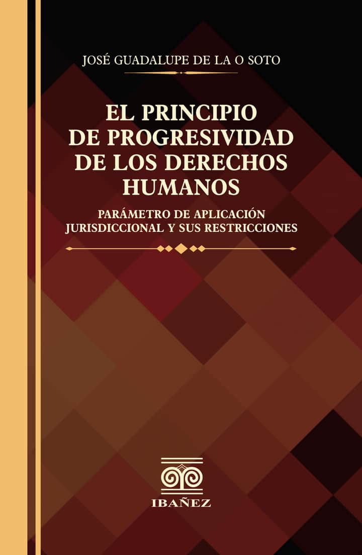 El principio de progresividad de los derechos humanos