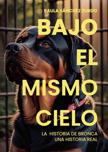 Bajo el mismo cielo