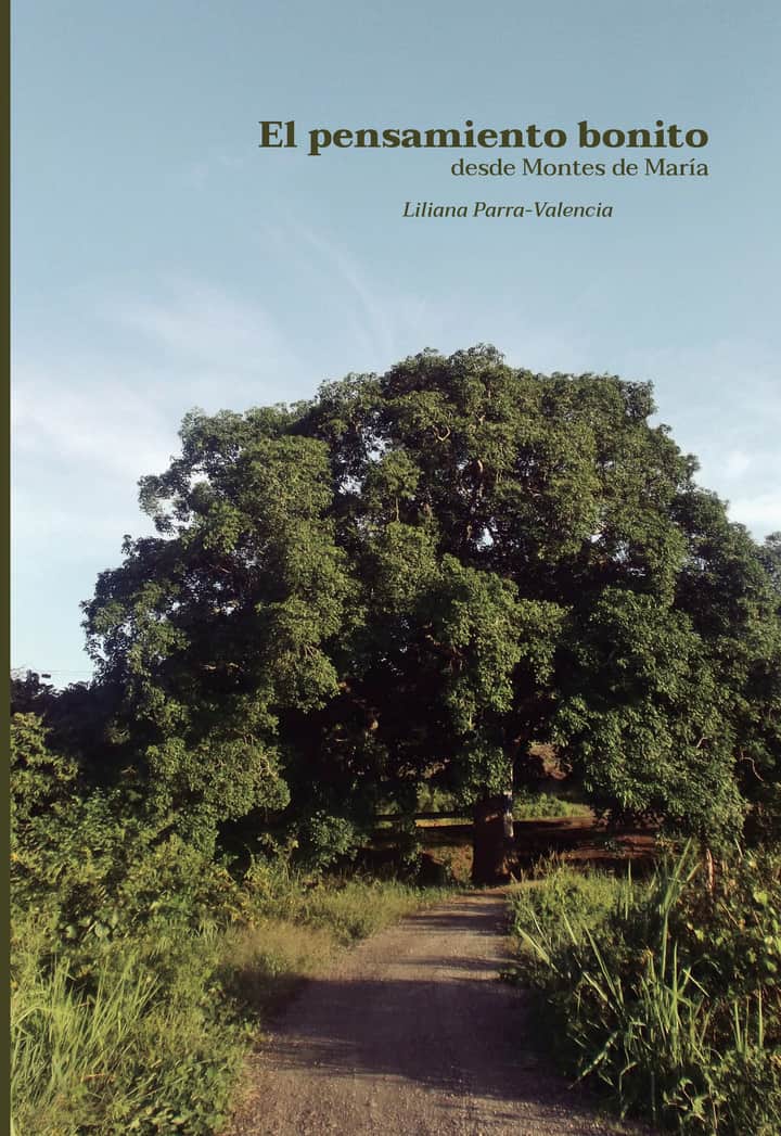 El pensamiento bonito desde Montes de María
