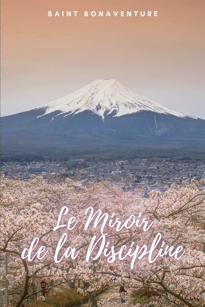 Le Miroir de la Discipline