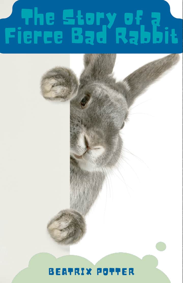 The Story of A Fierce Bad Rabbit