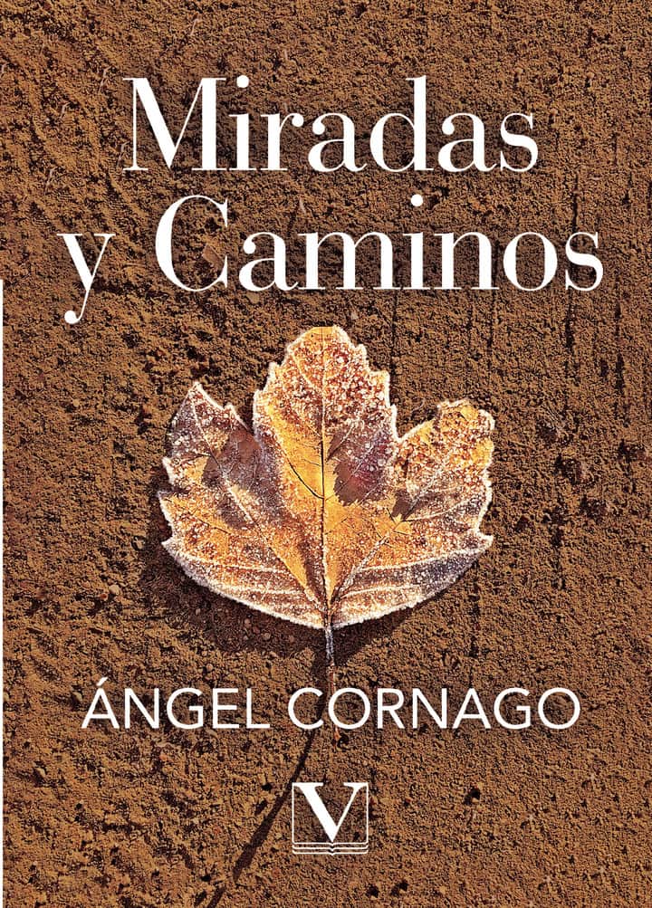 Miradas y caminos