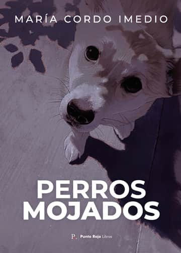 Perros mojados