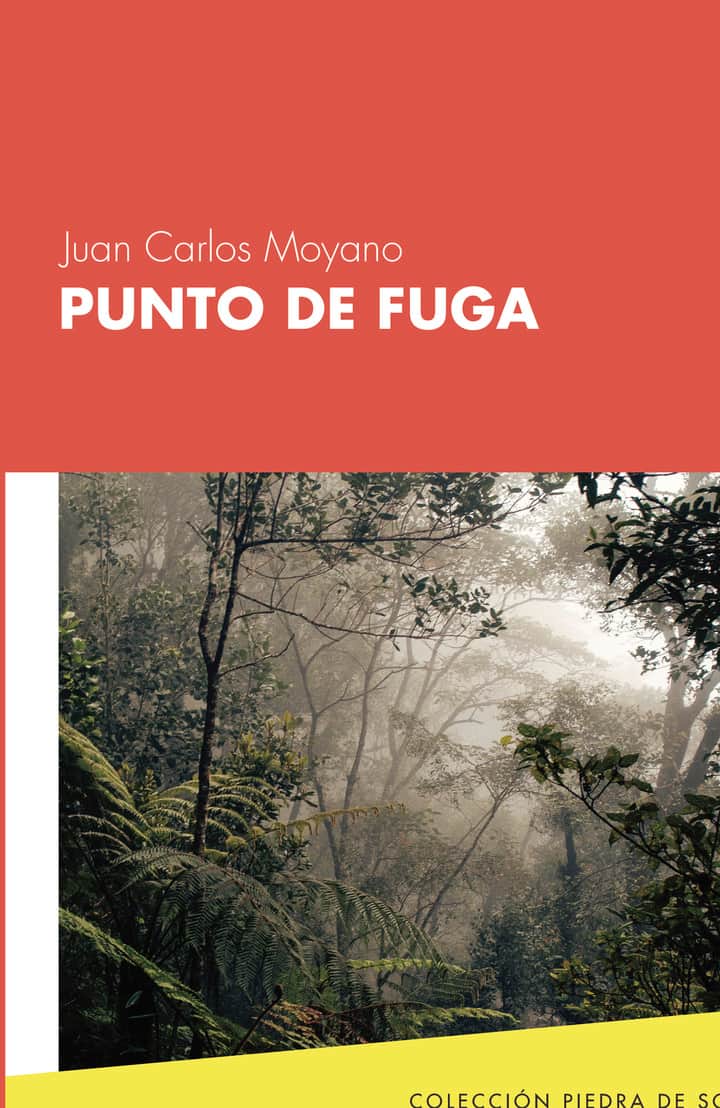 Punto de fuga