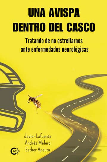 Una avispa dentro del casco
