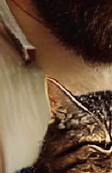 La familia multiespecie Hacia una nueva concepción jurídica