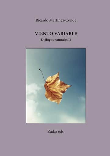 Viento variable