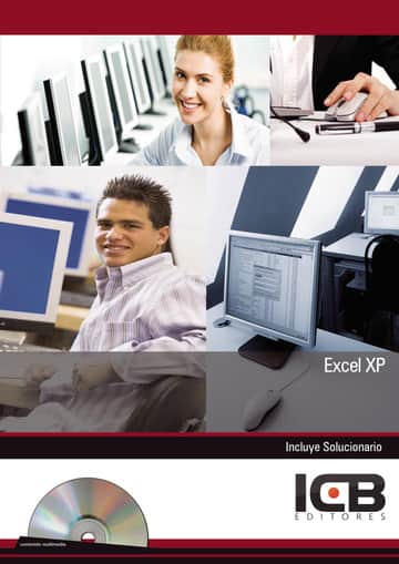 Excel XP