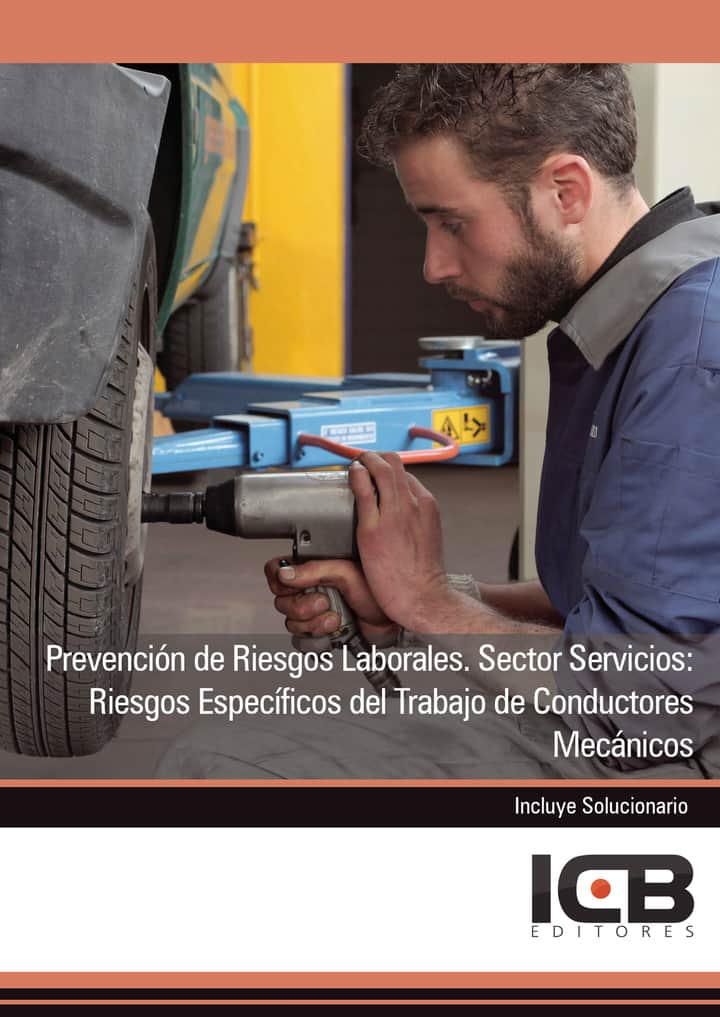 Prevención de Riesgos Laborales. Sector Servicios: Riesgos Específicos del Trabajo de Conductores Mecánicos