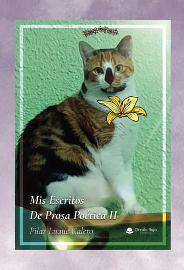 Mis Escritos De Prosa Poética II