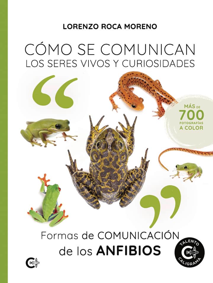 Formas de comunicación de los anfibios: Cómo se comunican los seres vivos y curiosidades