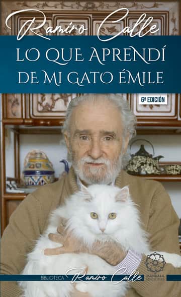 Lo que aprendí de mi gato Émile