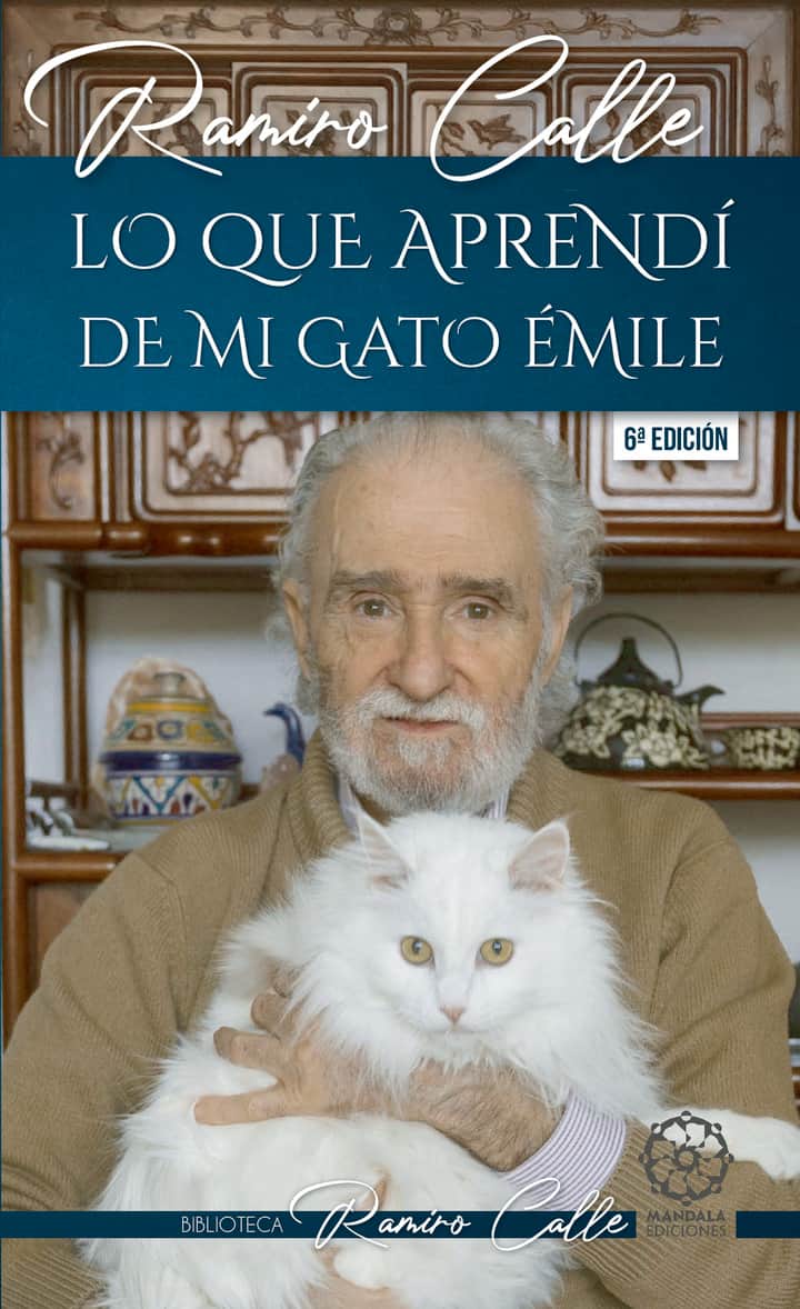 Lo que aprendí de mi gato Émile