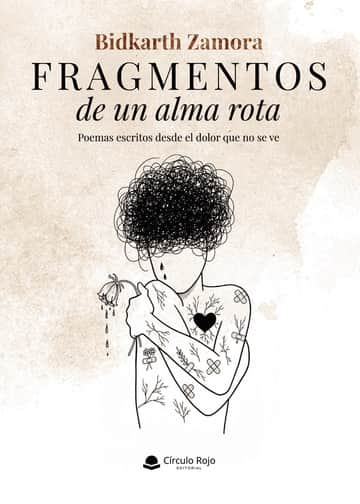 Fragmentos de un alma rota