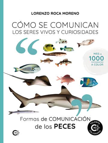 Formas de comunicación de los peces